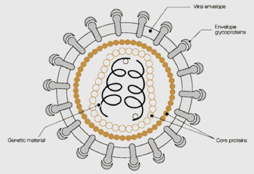 Science Diagram